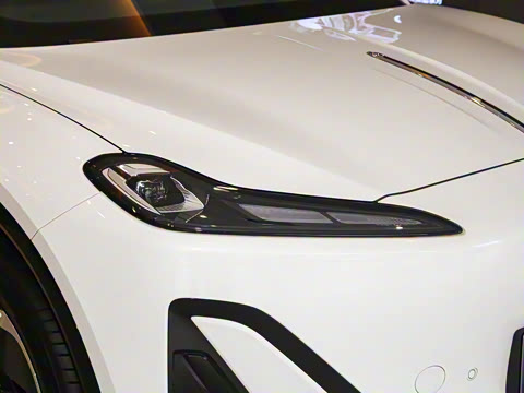 2025�� 520 ��ѡ��