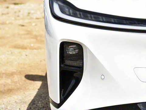 2026�� �����������̰� 310������