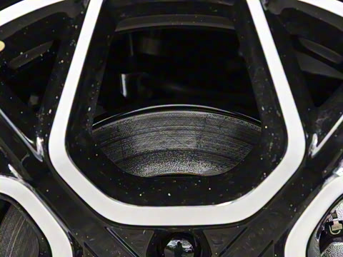 2026�� �����������̰� 310������