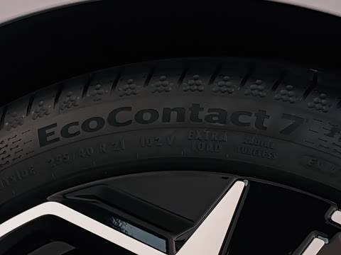 2026�� ���� ����������