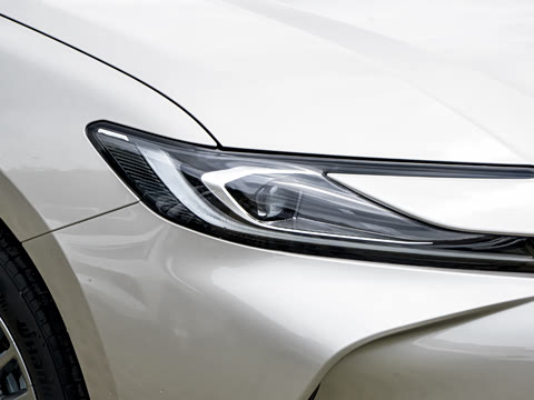 2026�� 2.0GVP ������