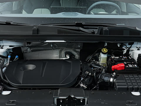 2026�� �˶������