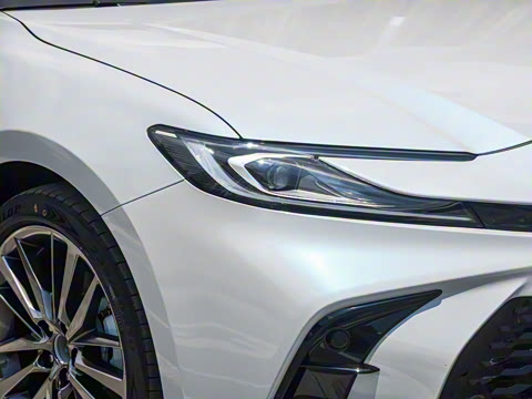 2026�� ˫�� 2.5HXS �˶�Plus��