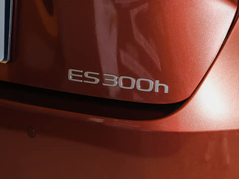 2026�� 300h