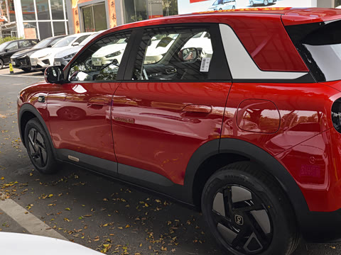 2026�� 310������