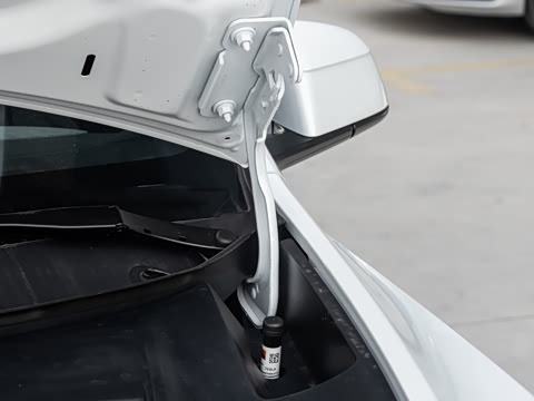 2026�� ����������