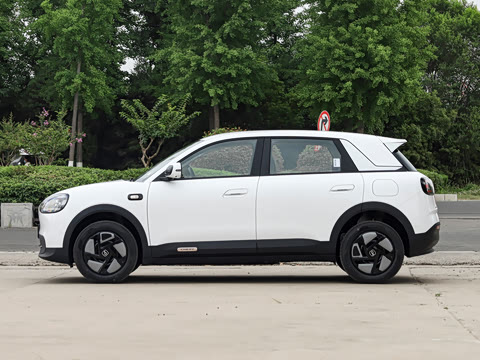 2026�� 310������