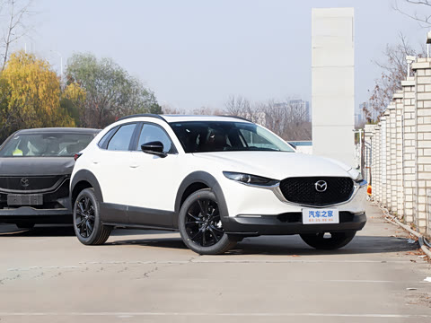 2025�� 2.0L �Զ�������