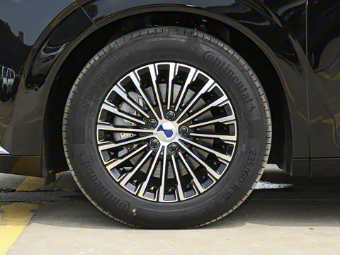 2025�� DM-i ��������