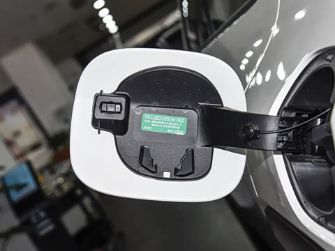 2026�� 2.5L ���а�