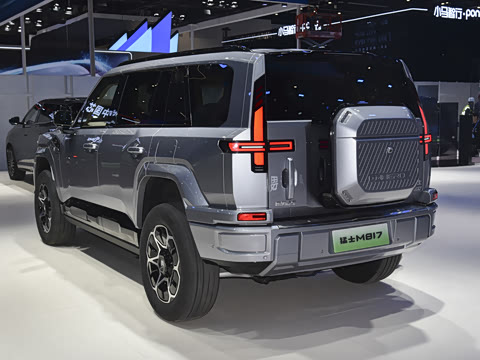 2025�� Max