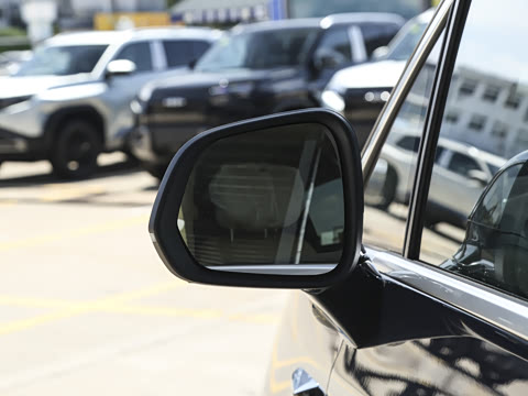 2025�� DM-i ��������