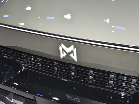 2025�� Pro