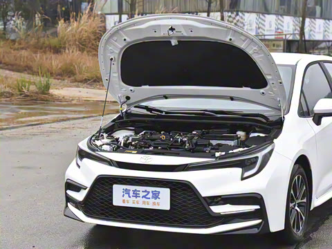 2026�� ����L ���Ͱ� 2.0L ���Ȱ�