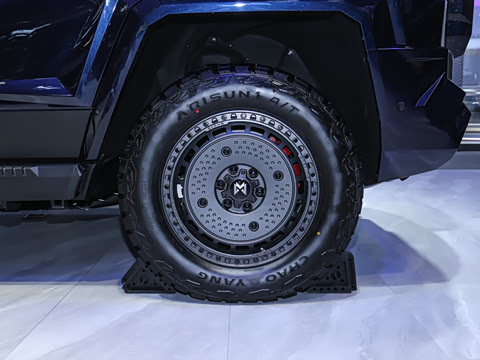2025�� M900 ������