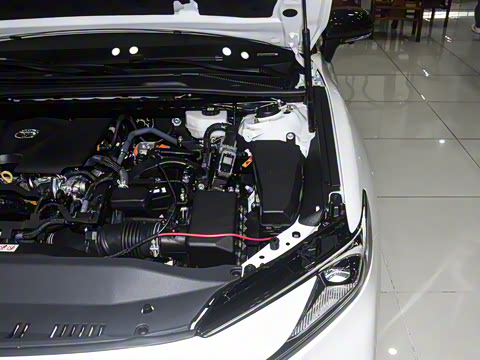 2026�� ˫�� 2.0HS �˶���