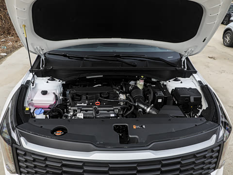 2026�� 1.5T �������ʰ�