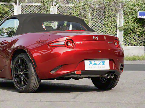 2025�� �ֶ��������� ī�����