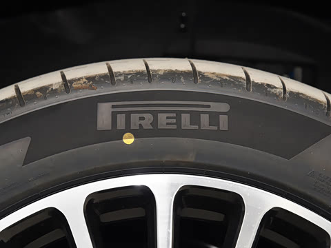 2025�� ���� Max+ ������������ 