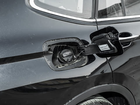 2026�� ���ڿ� 330TSI �Զ�����R-Line��ҫ��