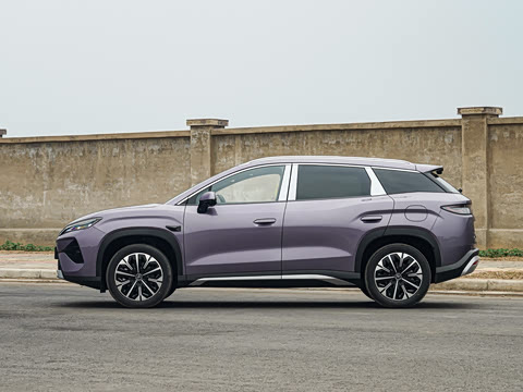 2026�� DM-i 310KM ��Խ��