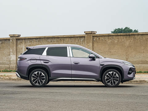 2026�� DM-i 310KM ��Խ��