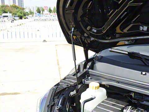 2026�� 1.6L �ֶ����������� 7��