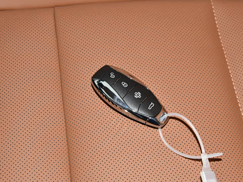 2025�� 2.0T PHEV ���������� 6��