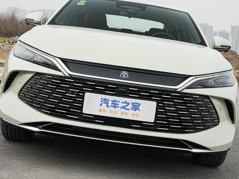 2026�� DM-i 210KM��Խ��