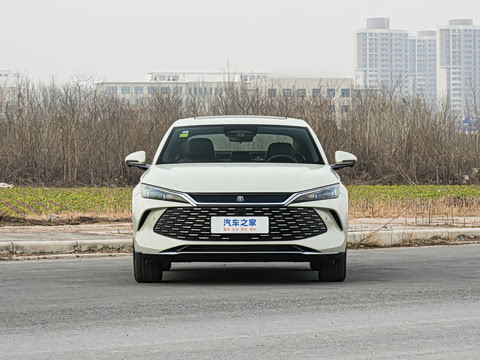 2026�� DM-i 210KM��Խ��