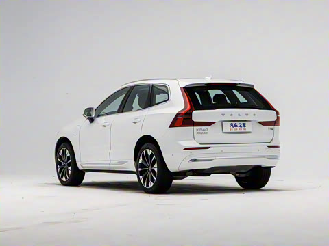 2026�� ���ʽ�춯 �������������ź�����