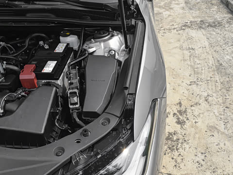 2026�� 2.0L ������