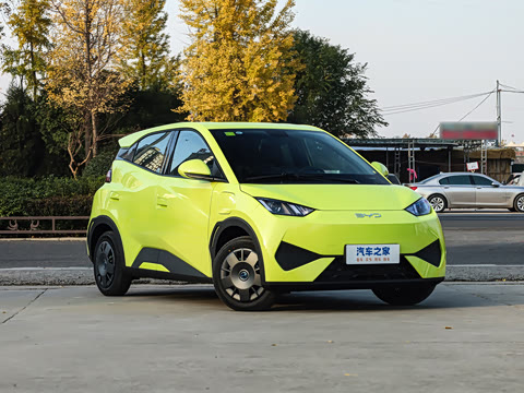 2025�� �Ǽݰ� 305km ������