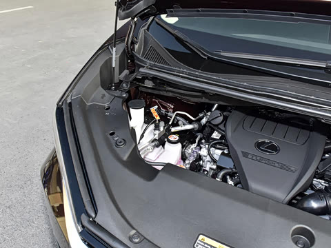 2025�� 500h ��������