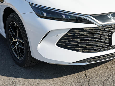 2026�� DM-i 170KM��Խ��