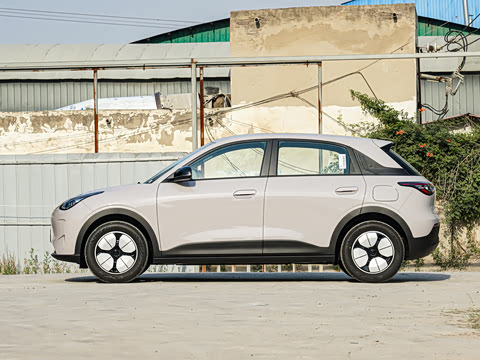 2026�� 310km ������