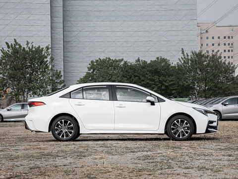 2026�� ����L ���Ͱ� 2.0L ����PLUS��