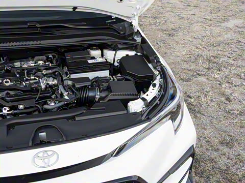 2026�� ����L ���Ͱ� 2.0L ����PLUS��