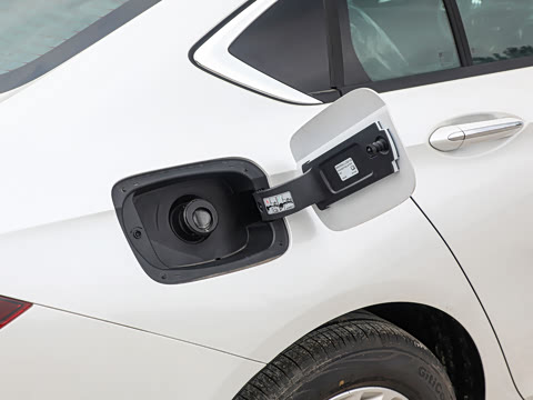 2025�� 25T ������