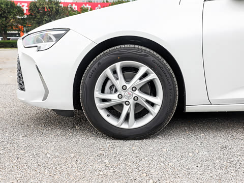 2025�� 25T ������