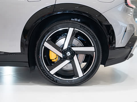 2025�� ������������Pro��