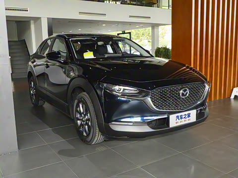 2025�� 2.0L �ֶ�������