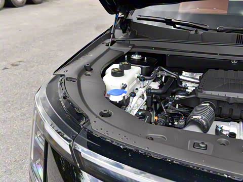 2026�� 121km ���ʰ� 5��