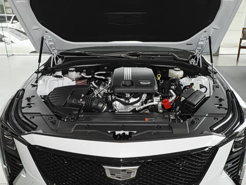 2025�� 28T �������ܰ�