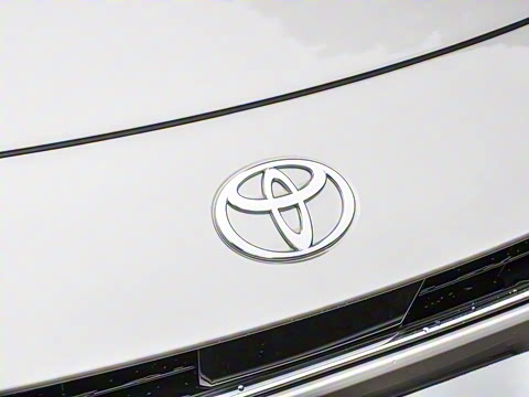 2026�� ˫�� 2.0HGVP ������