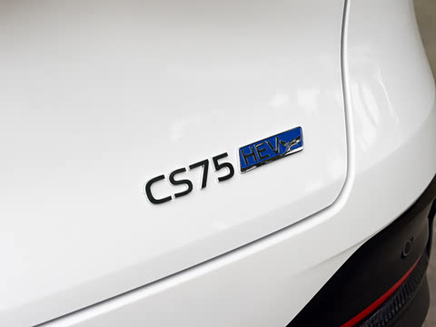2026�� ���Ĵ� 1.5T �������� �����캽��