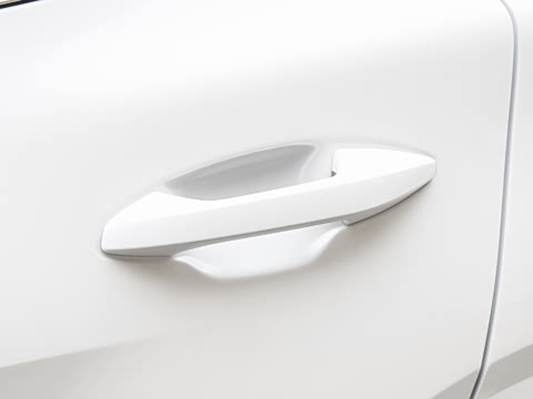 2026�� ����������