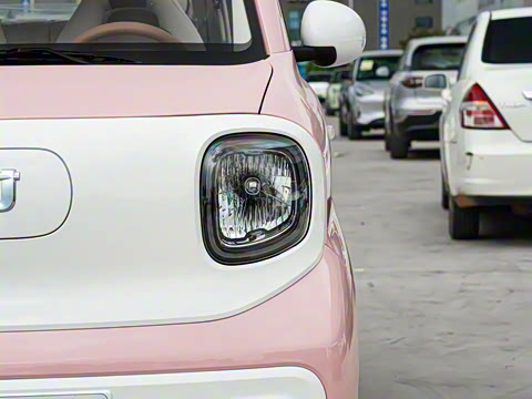 2026�� 222km �Ų���