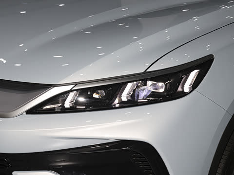 2026�� DM-i 220KM׿Խ��