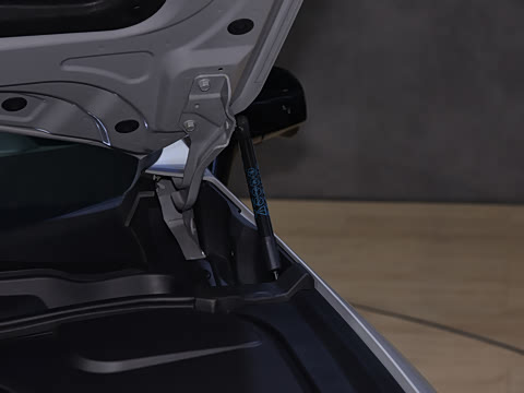 2026�� ����200 Max�˶���